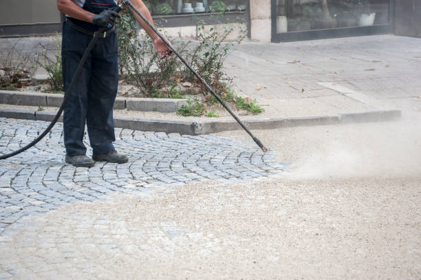 Animal Enclosure Cleaning in Arroyo Grande, CA
